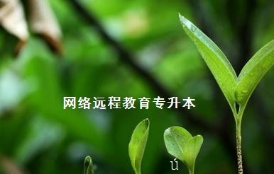 糤;רõ֤ƾϿ?